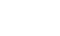 logo Ally Fashion logo