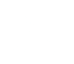 logo Birdsnest
