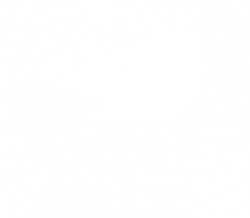Latest Birdsnest Coupons